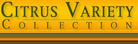 UCR Citrus Variety Collection - Home