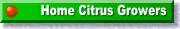 Home Citrus Growers