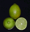 persianlimetti