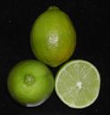 Persianlimetti Persianlimetti