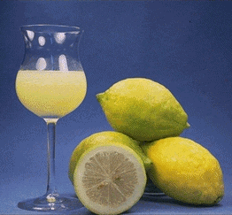 Limettisitruuna 'Lemonime'  C. Jacquemond / INRA