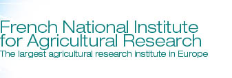 French National Institute for Agricultural Research