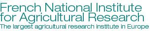 French National Institute for Agricultural Research