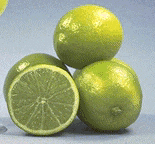 Citrus latifolia, persianlimetti