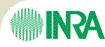 logo_inra2.jpg