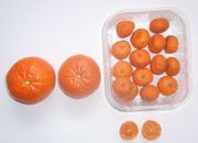 Citrus kinokuni 'Nanfeng' (Cherry Orange)
