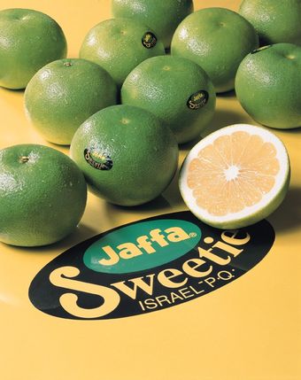 'Jaffa Sweetie' greippi