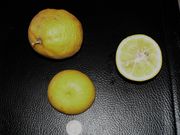 Vangassay, Citrus jambhiri
