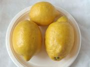 'Verna' lemon