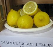 'Walker' Lisbon lemon